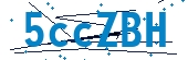 recaptcha